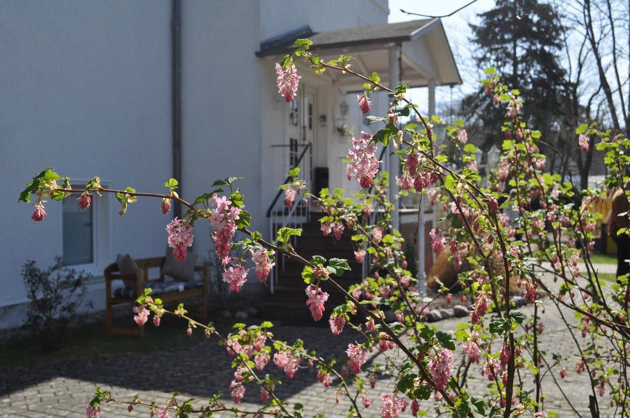 Pension Villa Frohsinn Sellin Auf Rugen Exterior foto